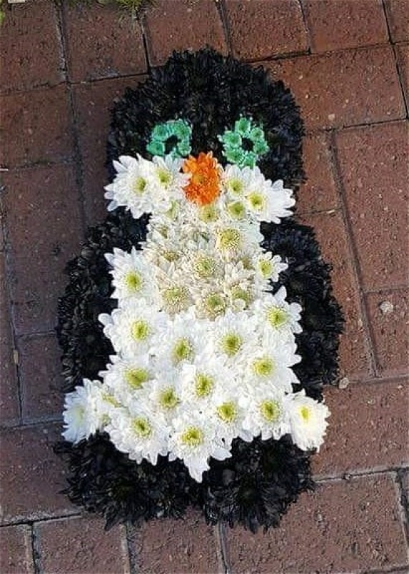 Special Funeral Tributes | penguin
