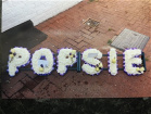 Special Funeral Tributes | Custom Name Tribute