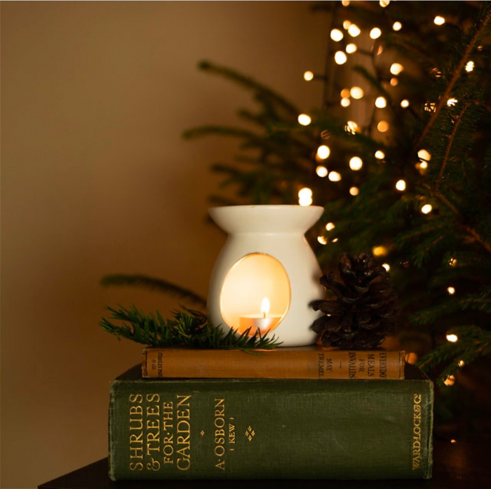 Gifts | The Christmas Collection | Upsell gifts | Wax Melter Gift Set