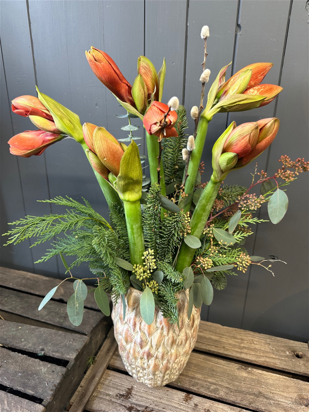 The Christmas Collection | Amaryllis Vase