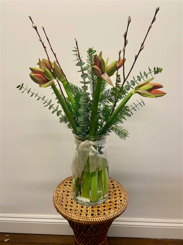 The Christmas Collection | Amaryllis Vase