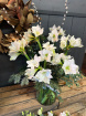 The Christmas Collection | Amaryllis Vase
