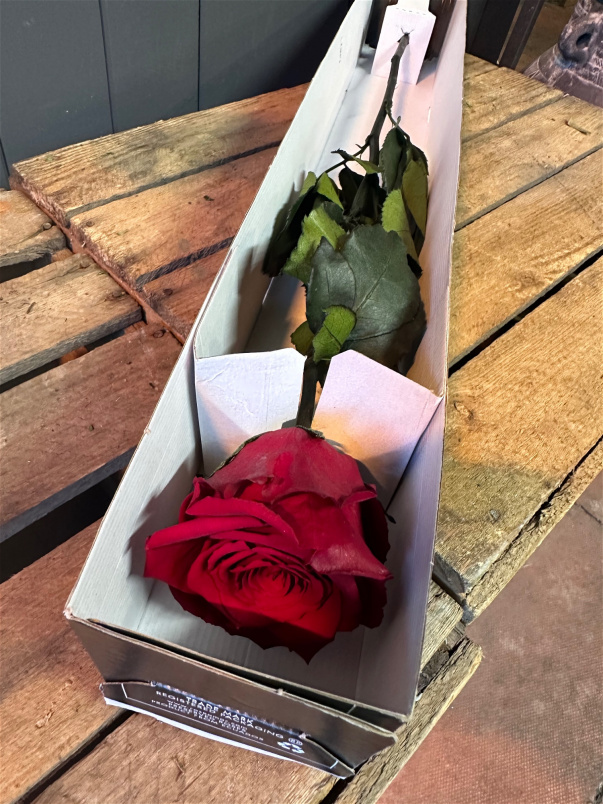 Bouquets | Valentines Day 2025 | Everlasting Red Rose - Preserved