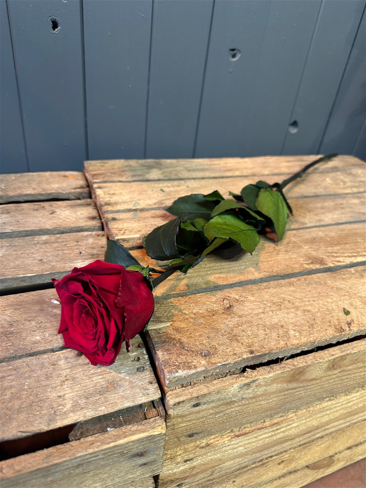 Everlasting Red Rose - Preserved - Bouquets | Flower Garden