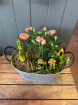 Bouquets | Plants | Rustic Zinc Planter Arrangement