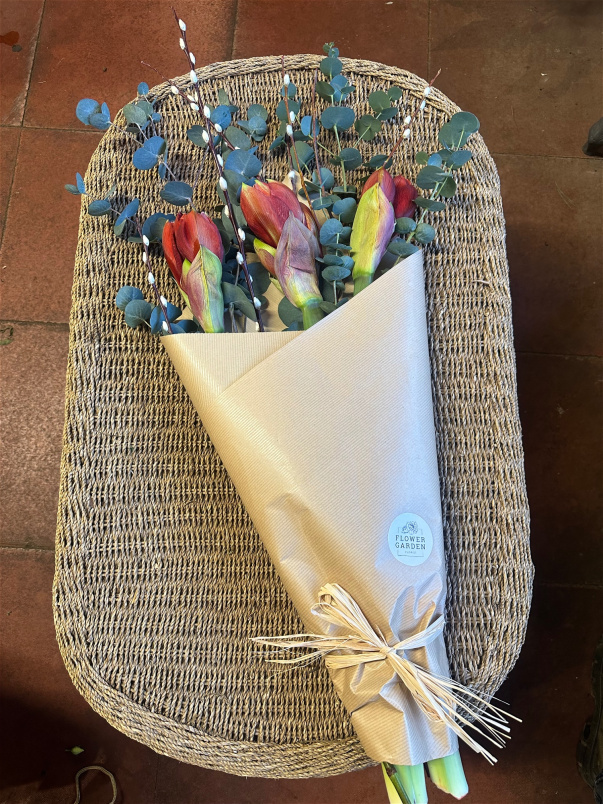 Bouquets | The Christmas Collection | Amaryllis Bundle