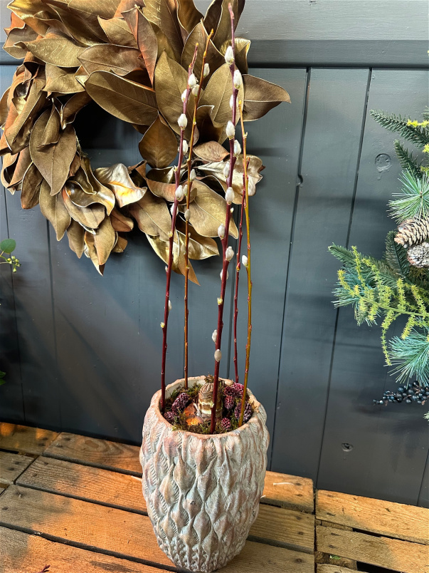 Plants | The Christmas Collection | Pinecone Vase Amaryllis Planter