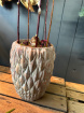 Plants | The Christmas Collection | Pinecone Vase Amaryllis Planter