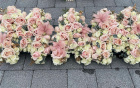 Funeral Tributes | Funeral tributes