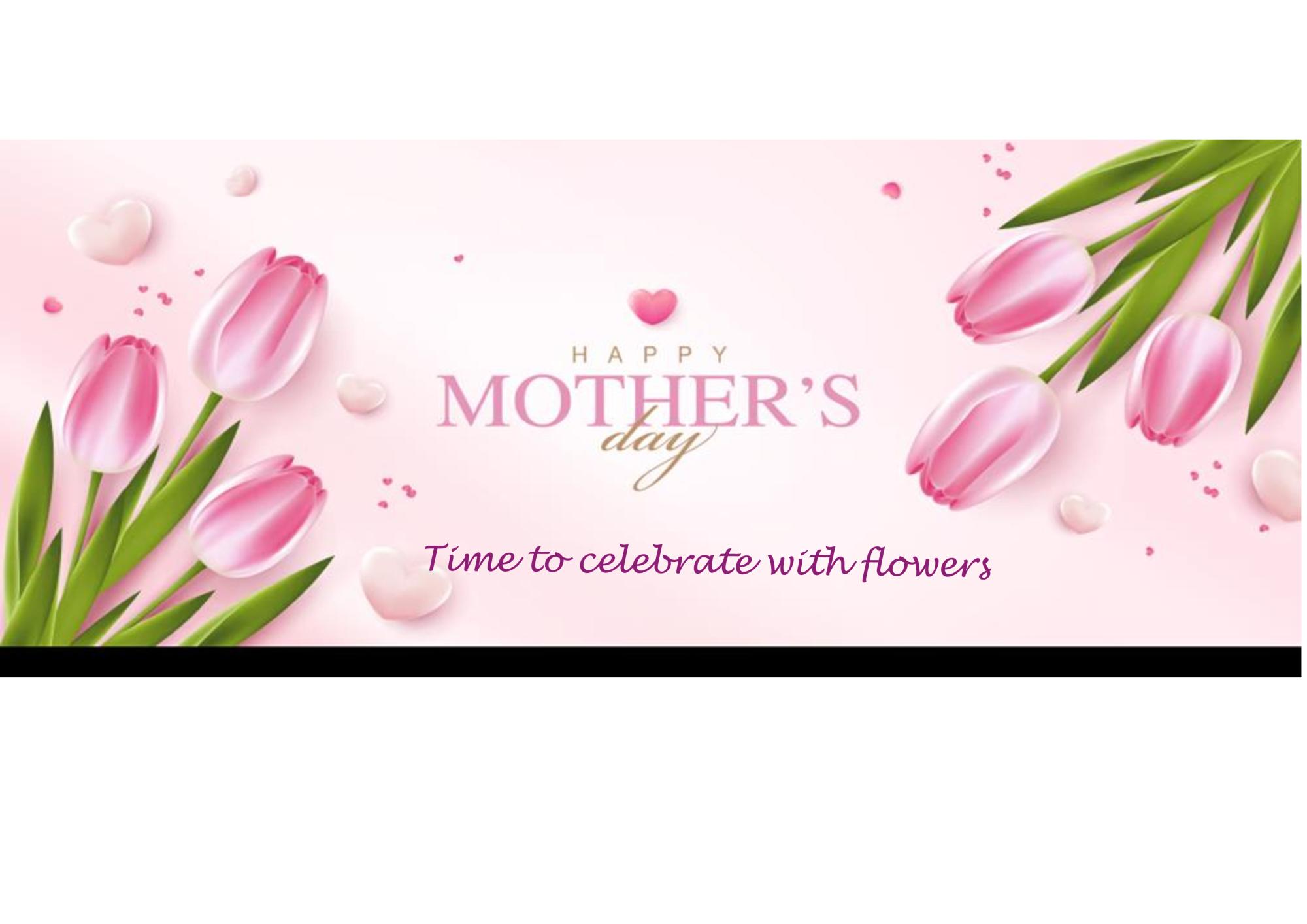 La Fleur | Worcester  | Home