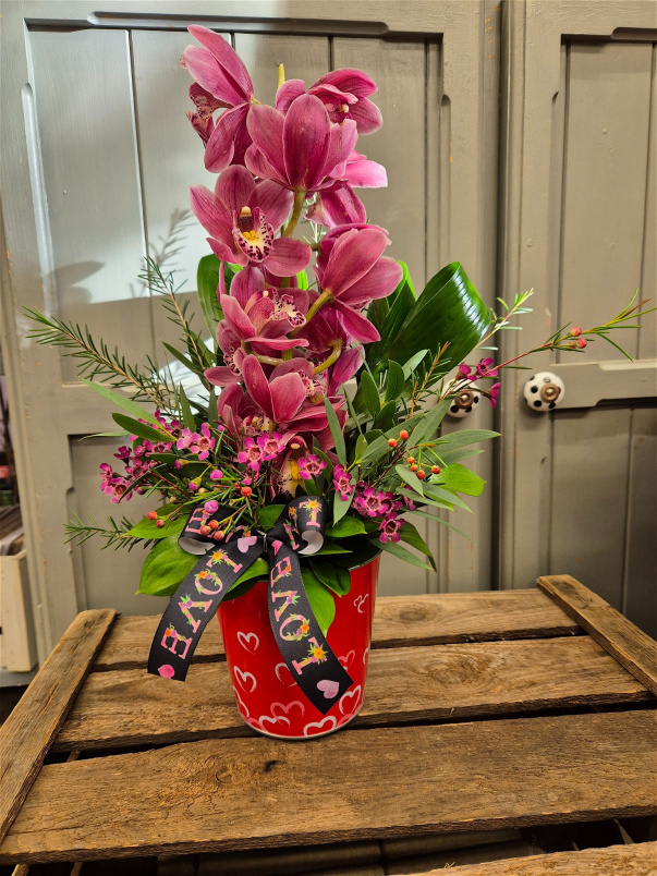 Everyday Flowers | Valentines and Romance | Adore