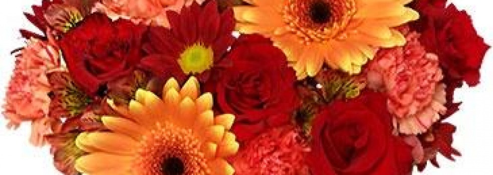 Michelle Hunter Flowers | Home