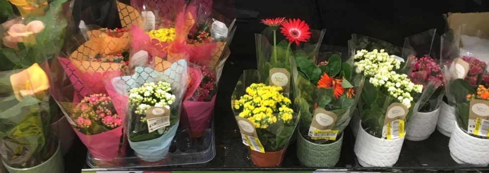 Michelle Hunter Flowers | Home