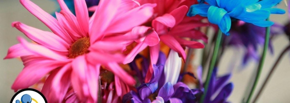 Michelle Hunter Flowers | Home