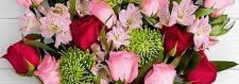 Michelle Hunter Flowers | Home