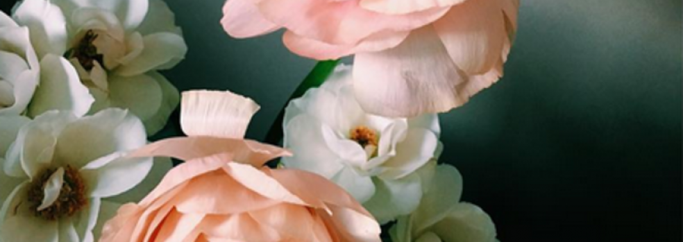 Michelle Hunter Flowers | Home