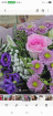 Bouquets | Pink & purple Bouque