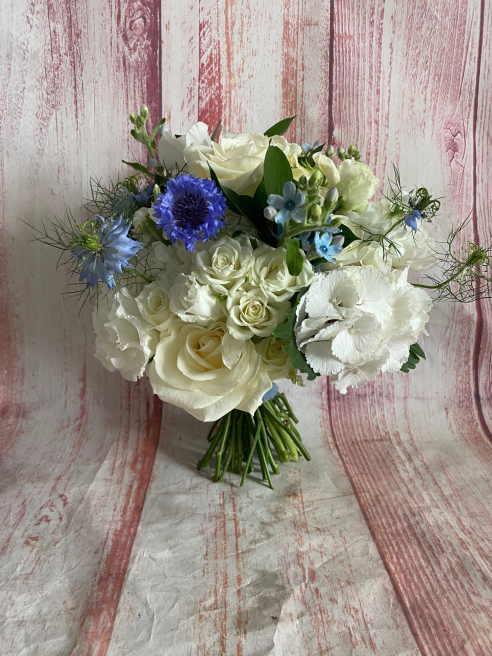Solent Stems | Gosport | Home