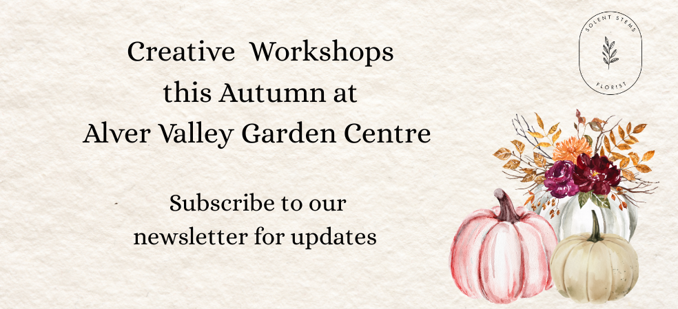 Solent Stems | Gosport | Workshops