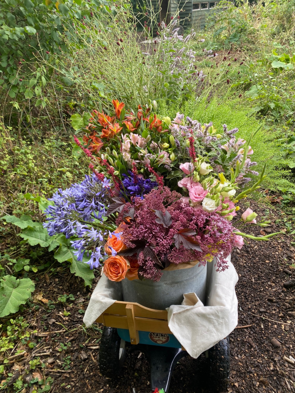 Solent Stems | Gosport | Freelance