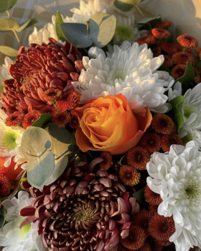 Solent Stems | Gosport | Home