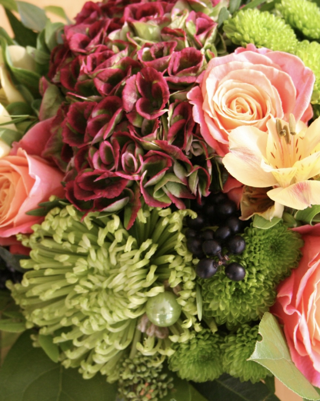 Solent Stems | Gosport | Home