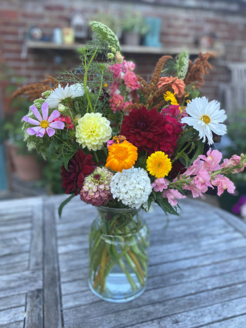 Solent Stems | Gosport | Blog