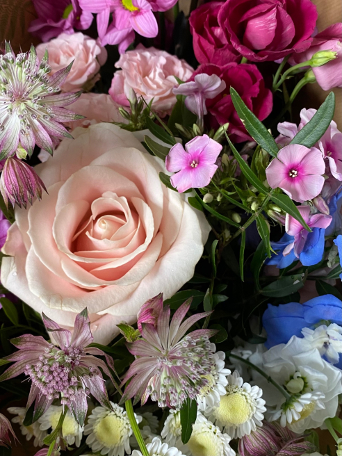 Solent Stems | Gosport | Blog