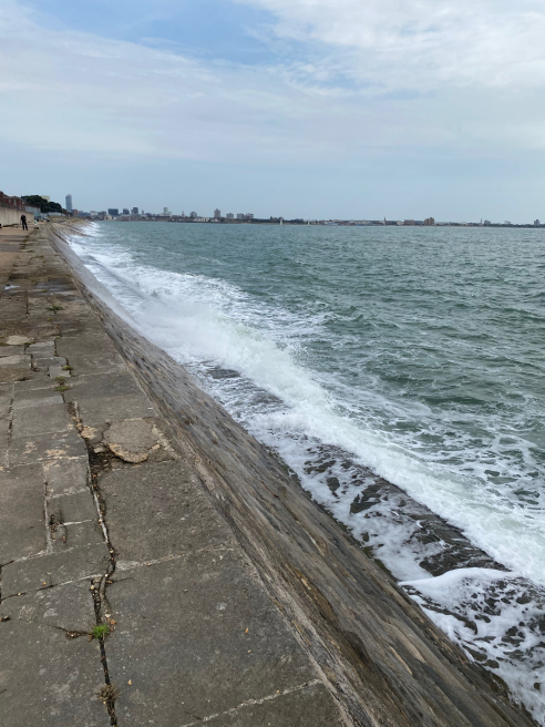 Solent Stems | Gosport | Blog