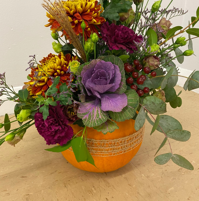 Solent Stems | Gosport | Creative sessions for Wellness