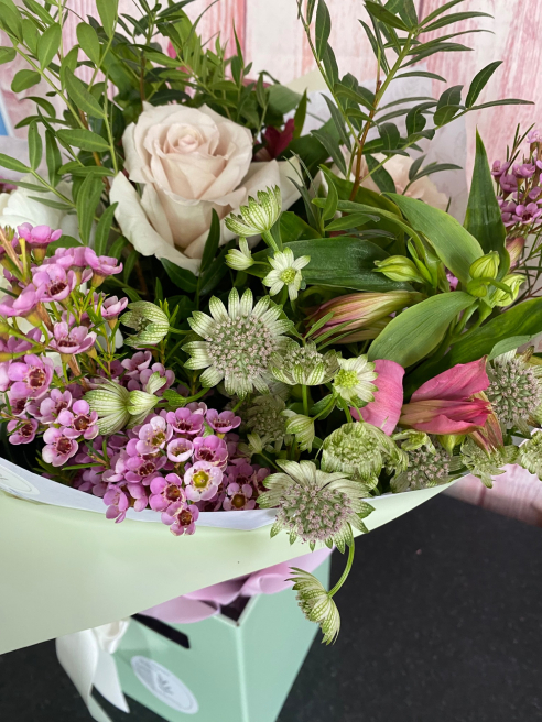 Solent Stems | Gosport | Blog