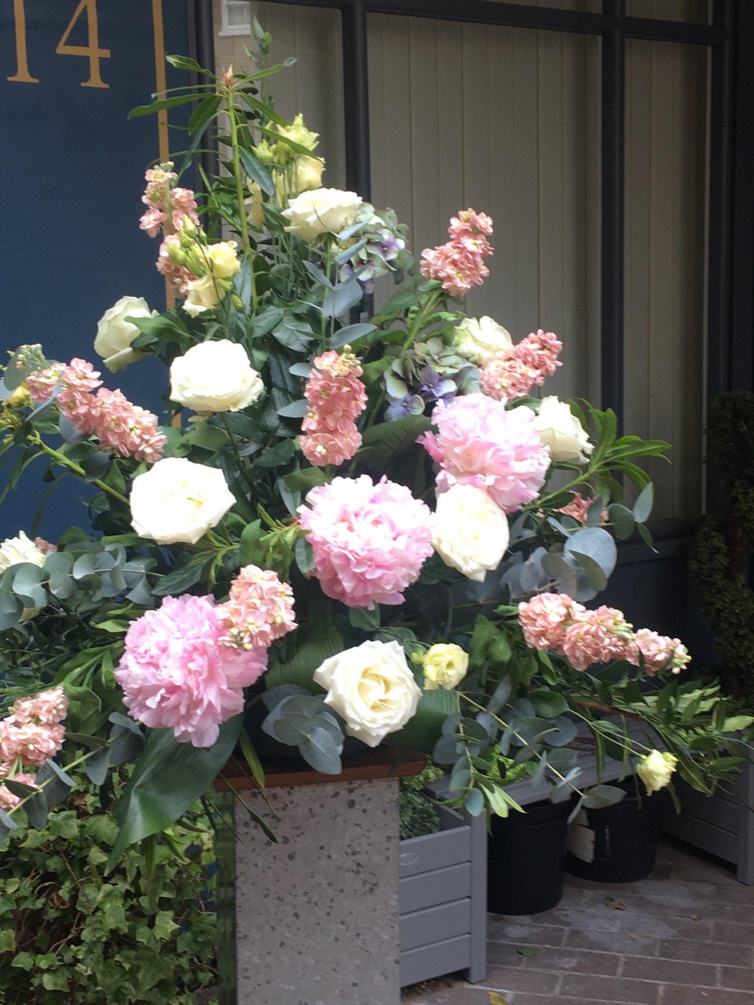 Solent Stems | Gosport | Event Enquiries