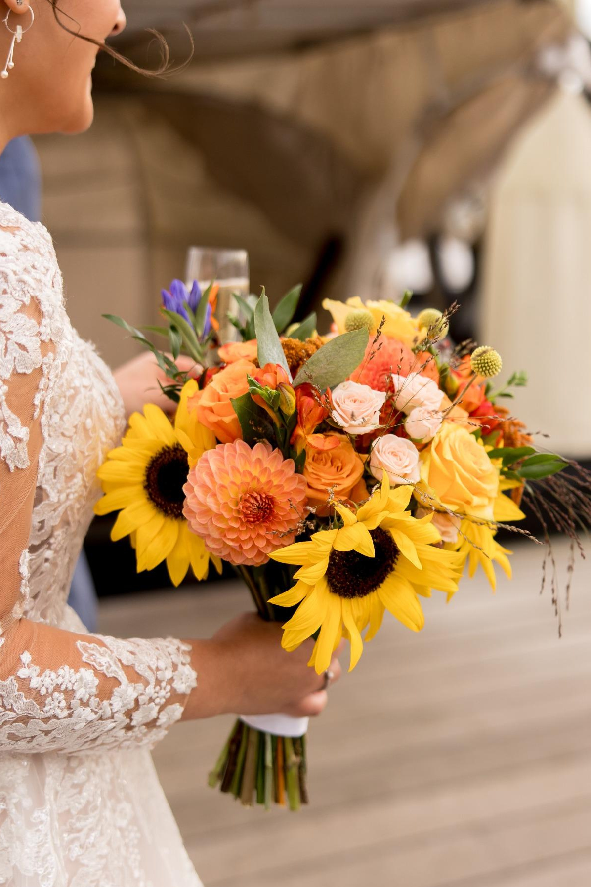 Solent Stems | Gosport | Home