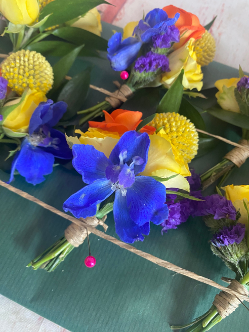 Solent Stems | Gosport | Blog