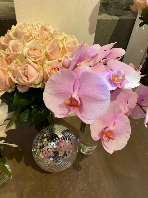 Solent Stems | Gosport | Blog