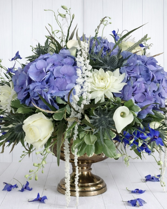 Solent Stems | Gosport | Home