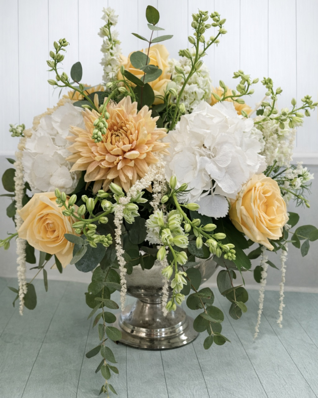 Solent Stems | Gosport | Home