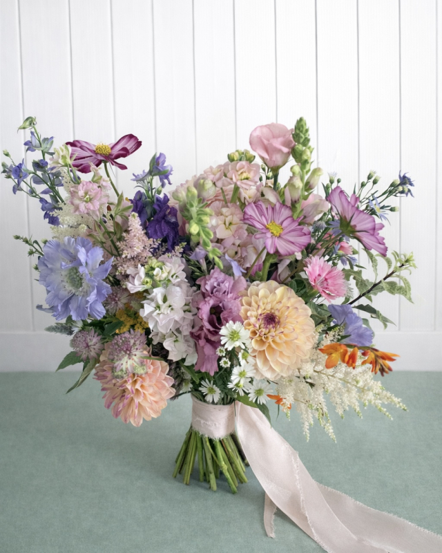 Solent Stems | Gosport | Home