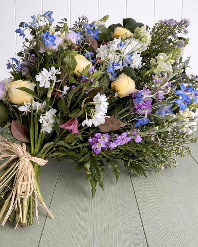 Solent Stems | Gosport | Home