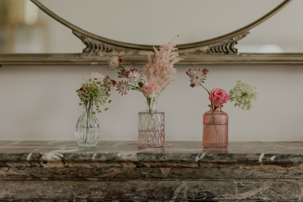Solent Stems | Gosport | Home
