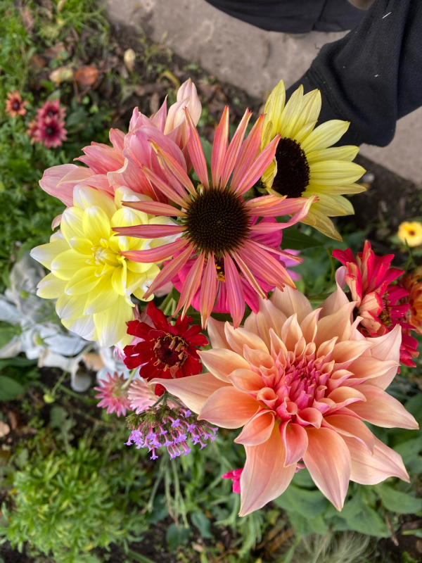 Solent Stems | Gosport | Flowers grown for your wedding in Hampshire