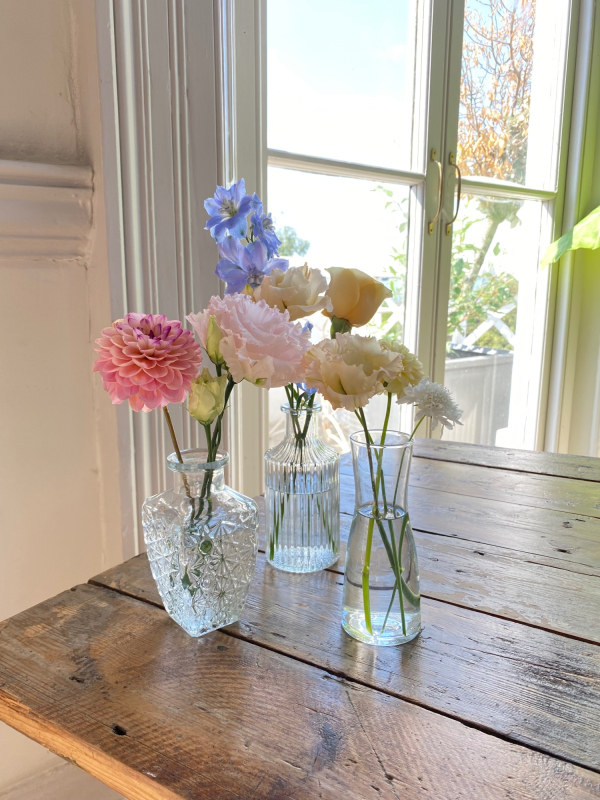 Solent Stems | Gosport | Flowers grown for your wedding in Hampshire