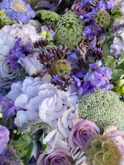 Solent Stems | Gosport | Blog