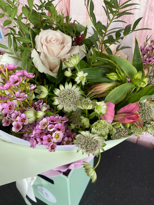 Solent Stems | Gosport | Blog