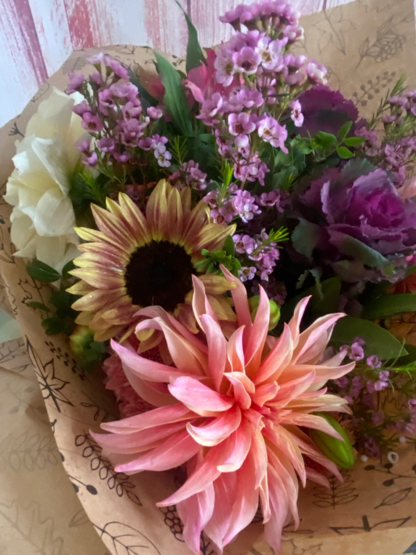 Solent Stems | Gosport | Home