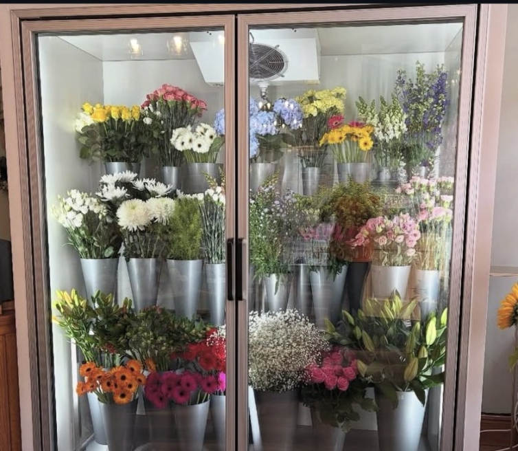 Solent Stems | Gosport | Blog