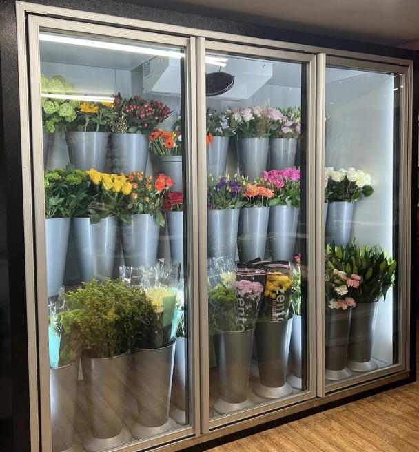 Solent Stems | Gosport | Blog