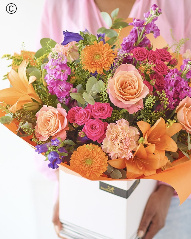 Solent Stems | Gosport | Home