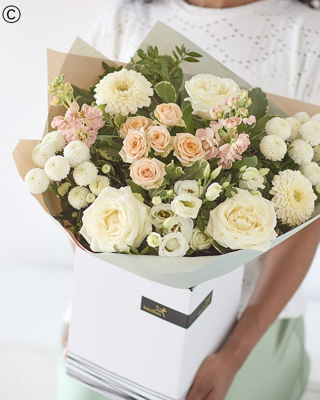 Solent Stems | Gosport | Home