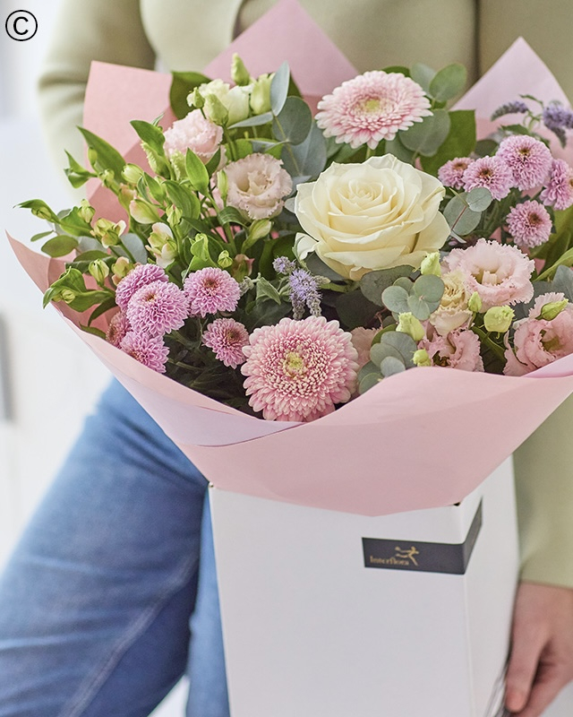 Solent Stems | Gosport | Home